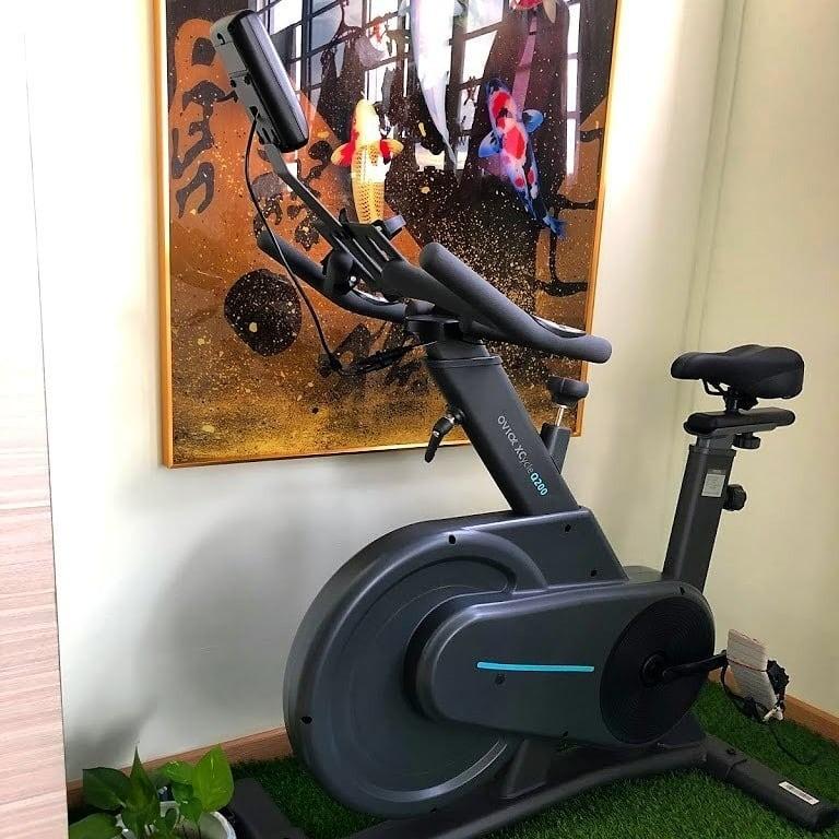 Ovicx q200 spin bike, Sports Equipment 