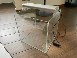 (Category: ) located in . Submitted by sevenfins (Listing ID 1159396222, Image 1). Description: .