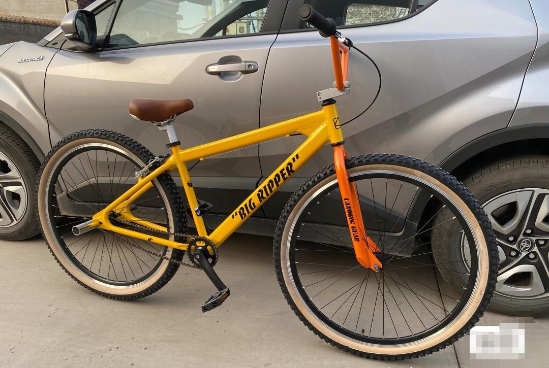 Big ripper 29 inches. BMX