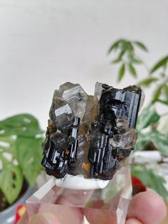 (Category: ) located in . Submitted by auralite2three (Listing ID 1159417348, Image 1). Description: .