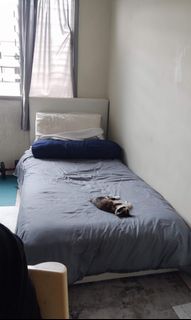 (Category: ) located in . Submitted by wagof (Listing ID 1159539169, Image 1). Description: .