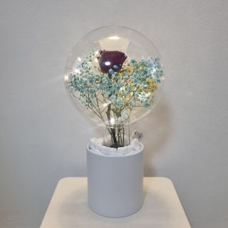 (Category: ) located in . Submitted by joyfloral (Listing ID 1159546915, Image 1). Description: .