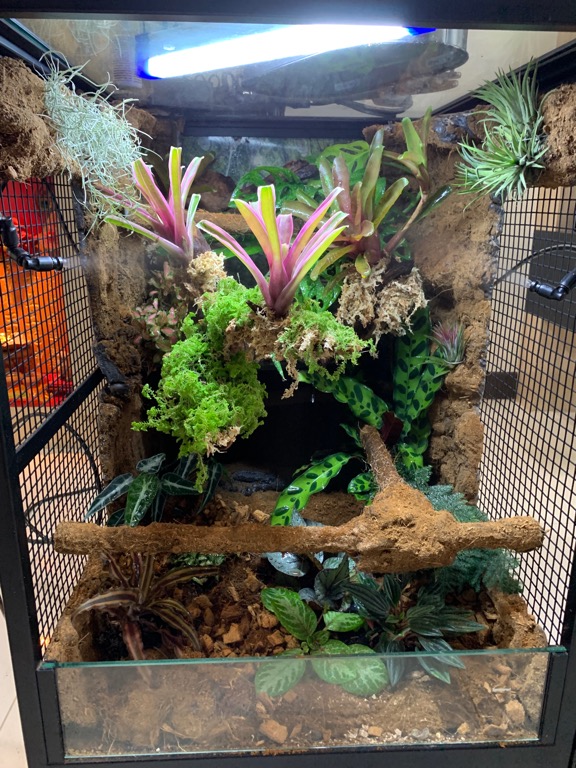 Vivarium building supplies outlet