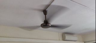(Category: ) located in . Submitted by harbath (Listing ID 1159440662, Image 1). Description: .