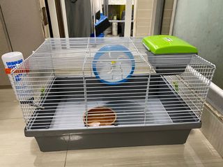 （分類：）位於 。 由 GG0721 提交（商品編號 1159739226，圖片 1）。簡介： 。