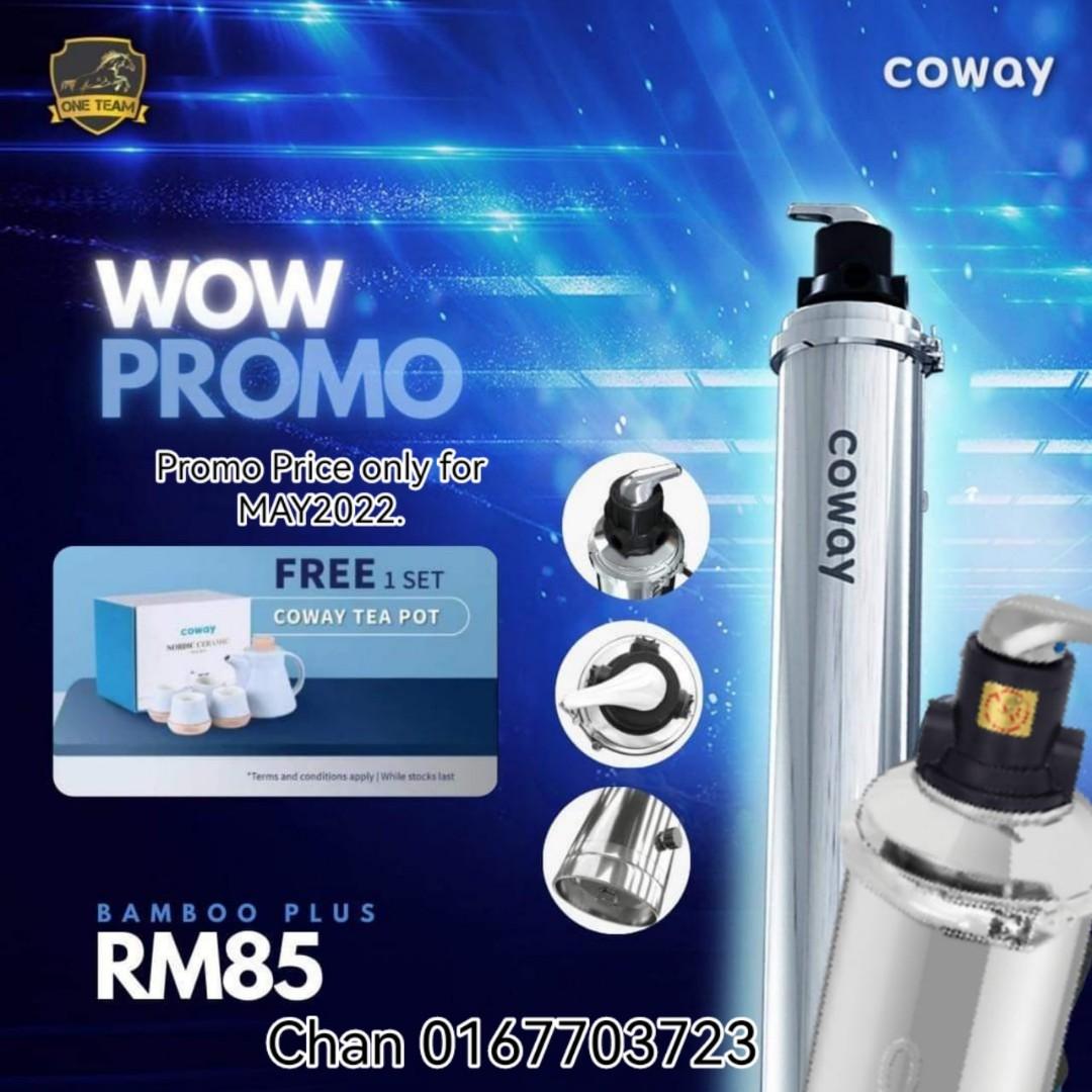 Coway outdoor deals water filter price