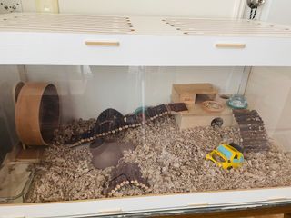 （分類：）位於 。 由 lynnc7 提交（商品編號 1159654187，圖片 1）。簡介： 。