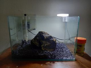 (Category: ) located in . Submitted by azimbass (Listing ID 1163895066, Image 1). Description: .