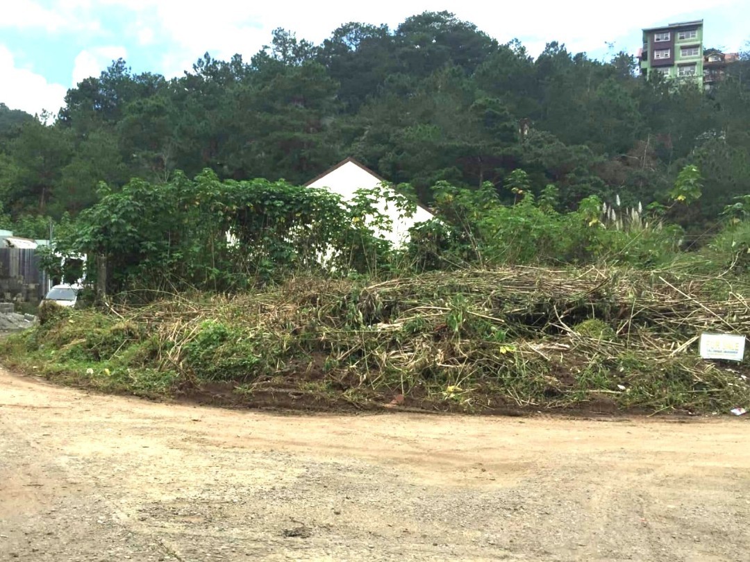 (Category: ) located in . Submitted by atty.bing (Listing ID 1163887304, Image 1). Description: .