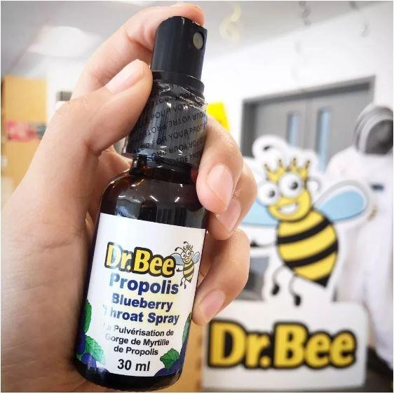 加拿大Dr Bee Propolis Throat Spray 蜂膠藍莓消炎抗菌噴劑 30ml, 健康及營養食用品, 按摩紓緩用品 ...