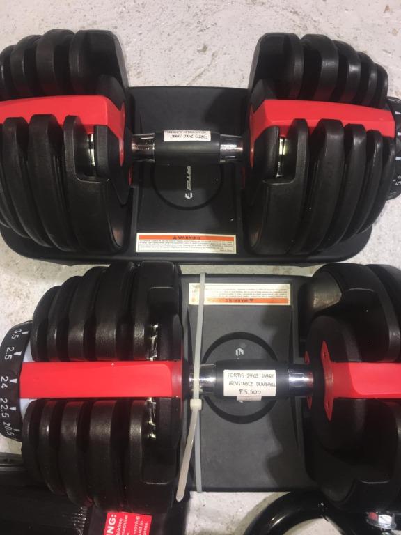 Fortis dumbbells discount
