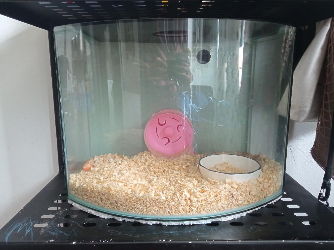 Aquarium hamster cage online