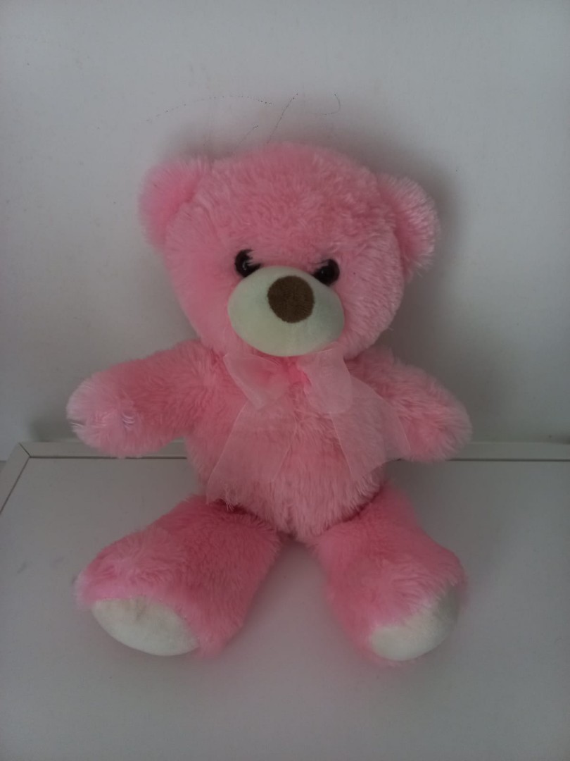 fluffy pink teddy bear
