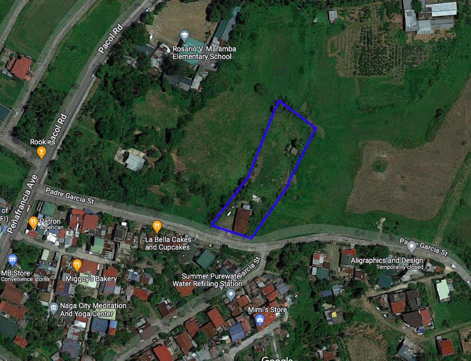 Lot for Sale Naga City along Matiway road, Property, For Sale, Lot on