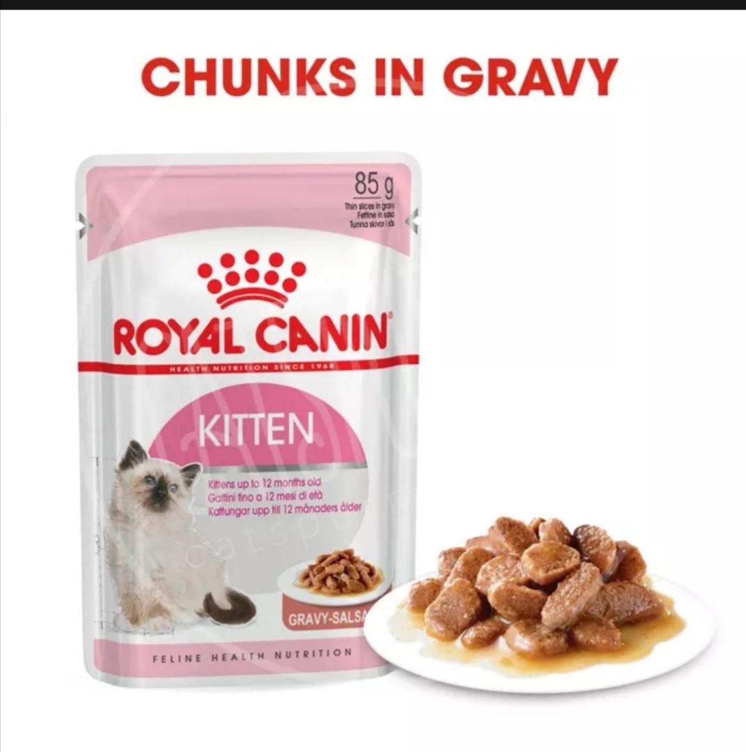 Royal canin kitten gravy sales