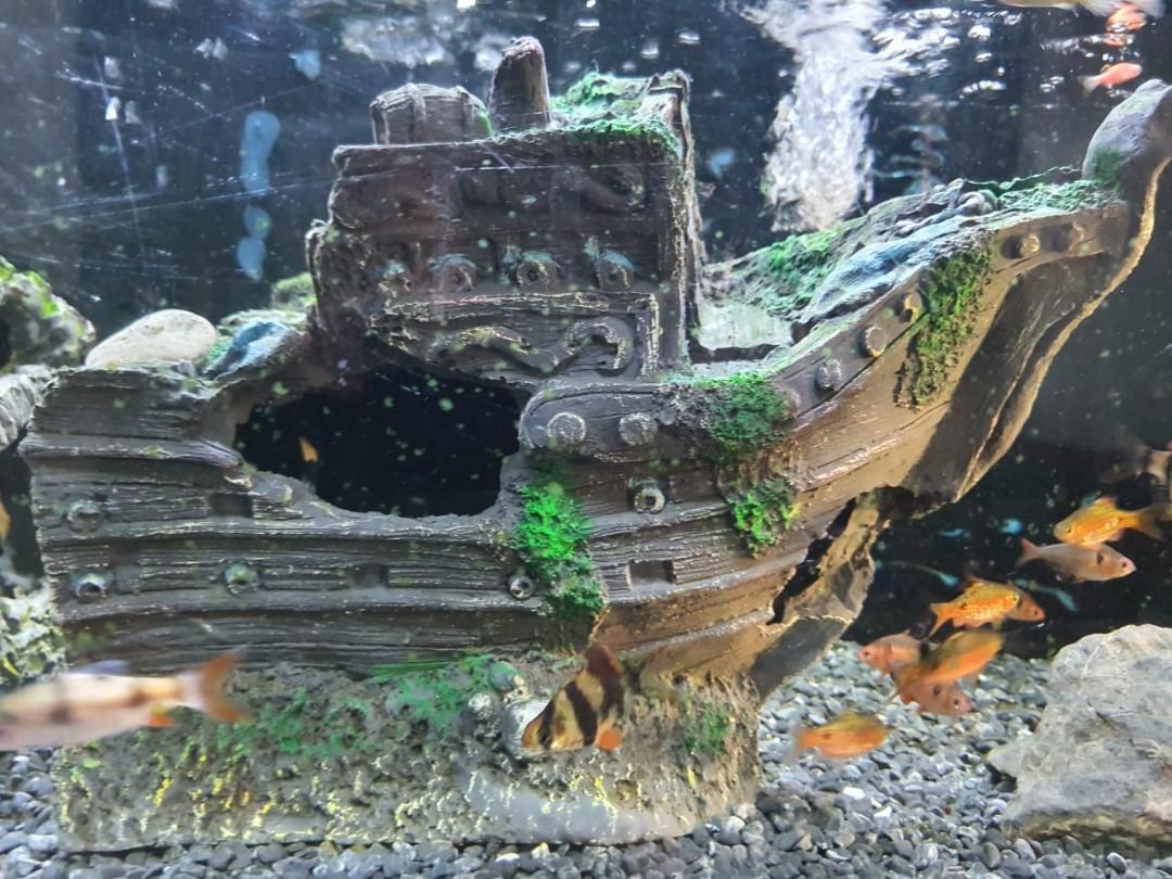 Ship sales aquarium ornament