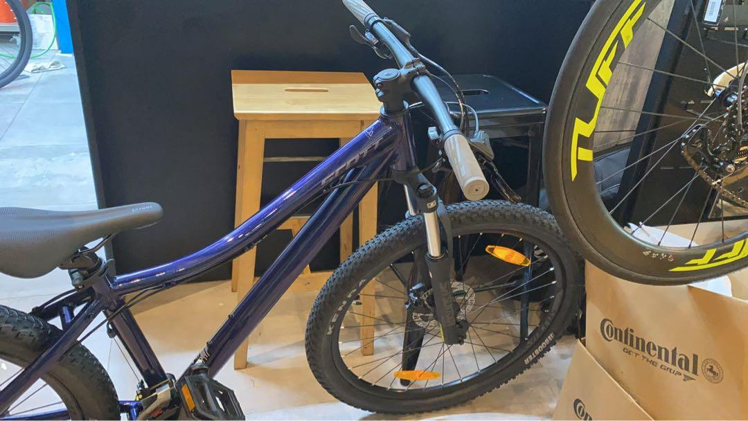 Scott contessa sales active 40 2021