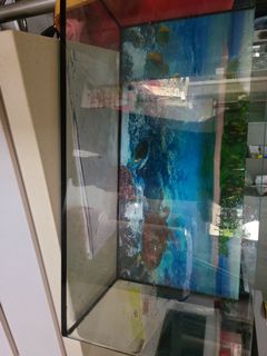 (Category: ) located in . Submitted by maxindia001 (Listing ID 1165646061, Image 1). Description: .