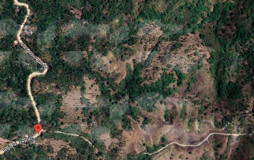 20,5 Hectares agricultural land at Tablas island in Romblon for RUSH