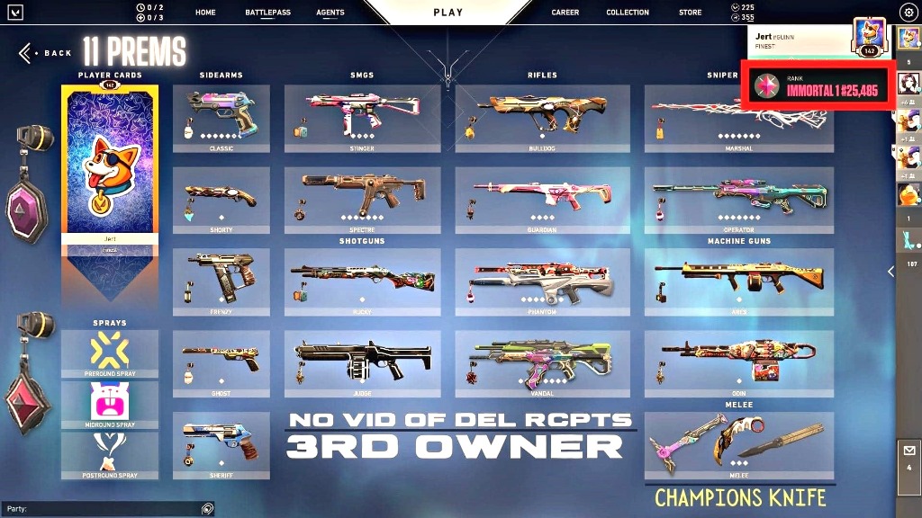 CHEAPEST CHAMPIONS KARA RGX VANDAL 12 PREMIUM SKINS VALORANT ACCOUNT