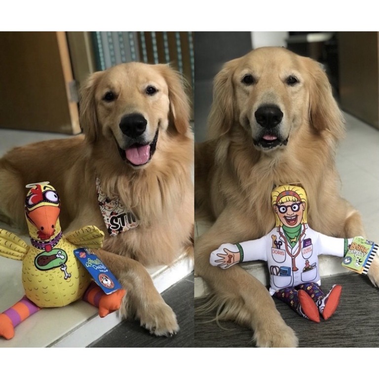 Floppability Barnyard Bullies Suspicious Chicken Bark Targets Vet The ...