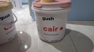 GUSH painting