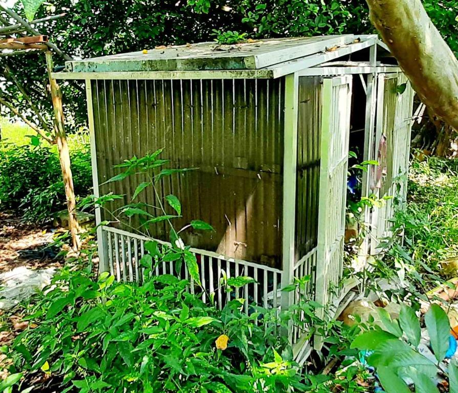 Heavy Duty Insulated Aluminum Dog Cage for Large Dogs, Pet Supplies, Homes & Other Pet