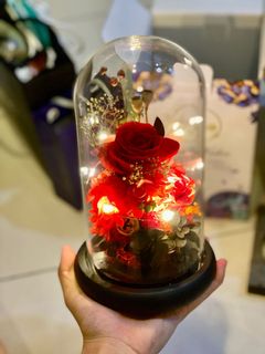 (Category: ) located in . Submitted by felicia6868 (Listing ID 1165983640, Image 1). Description: .