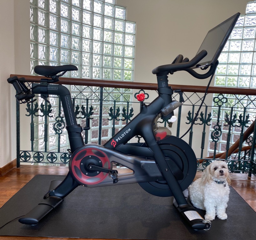 Peloton exercise bike for sale shop
