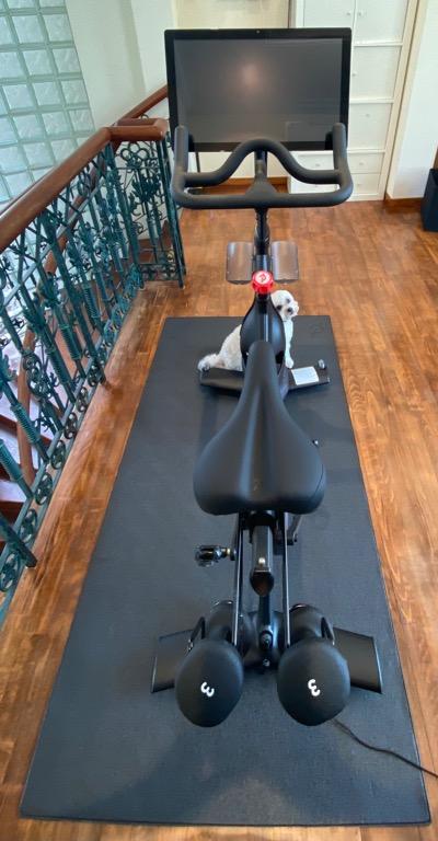 Peloton exercise bike for sale deals