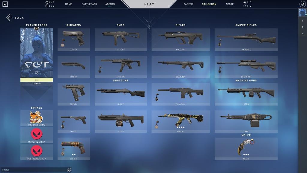 Valorant account (Champions and Arcane bundle), Video Gaming, Gaming
