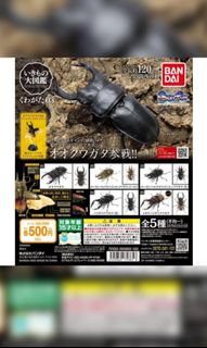 （分類：）位於 。 由 leosham2507 提交（商品編號 1166202893，圖片 1）。簡介： 。