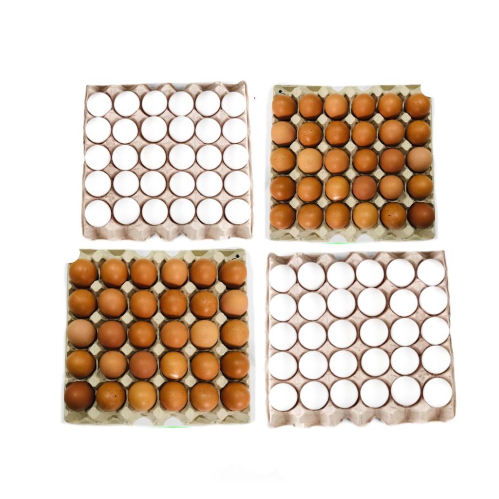 Eggs in Tray 30 pcs. (Category: Fresh Produce) located in Manila. Submitted by virtualtindahanipaul (Listing ID 1166177851, Image 1). Description: 🥚Bounty Fresh Egg WHITE MEDIUM Price: P195 🥚Bounty Fresh Egg BROWN MEDIUM Price: P245 🥚Bounty Fresh Egg WHITE LARGE Price: P199 indicated price per: 1 Tray= 30 pieces Delivery every Tuesday, Thursday, Saturday & Sunday..
