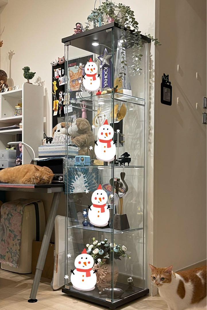 Ikea detolf glass curio sales display cabinet black