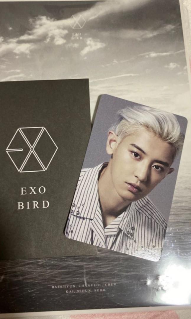 exo bird フィギュア セフン トレカ EXO BIRD bird トレカ セフン 出品番号.49