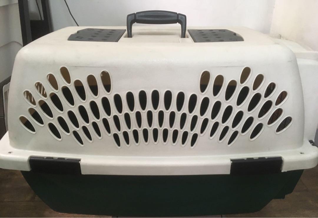 Pet Carrier (Top Load), Pet Supplies, Homes & Other Pet Accessories on