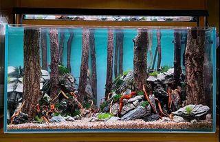 underwater forest theme aquarium scape