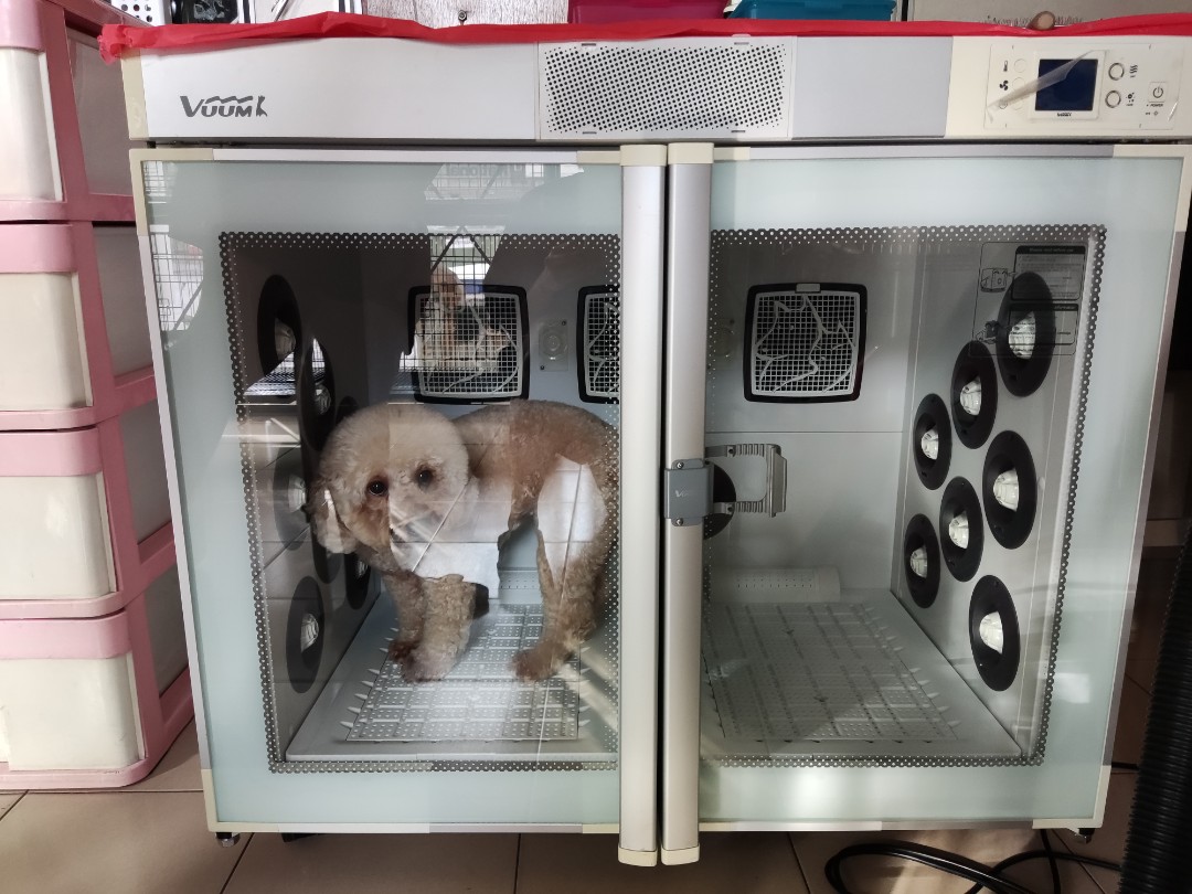 Poppet pet hotsell dryer