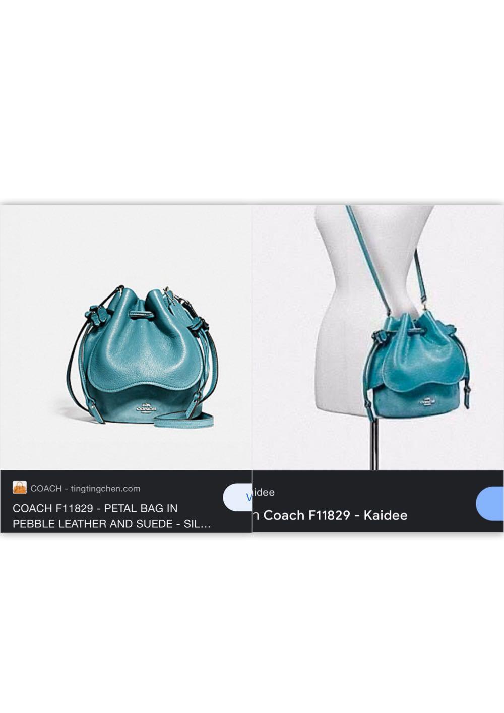 COACH BUCKET PETAL BAG LEATHER