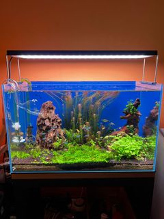 (Category: ) located in . Submitted by fithri23 (Listing ID 1166294383, Image 1). Description: .
