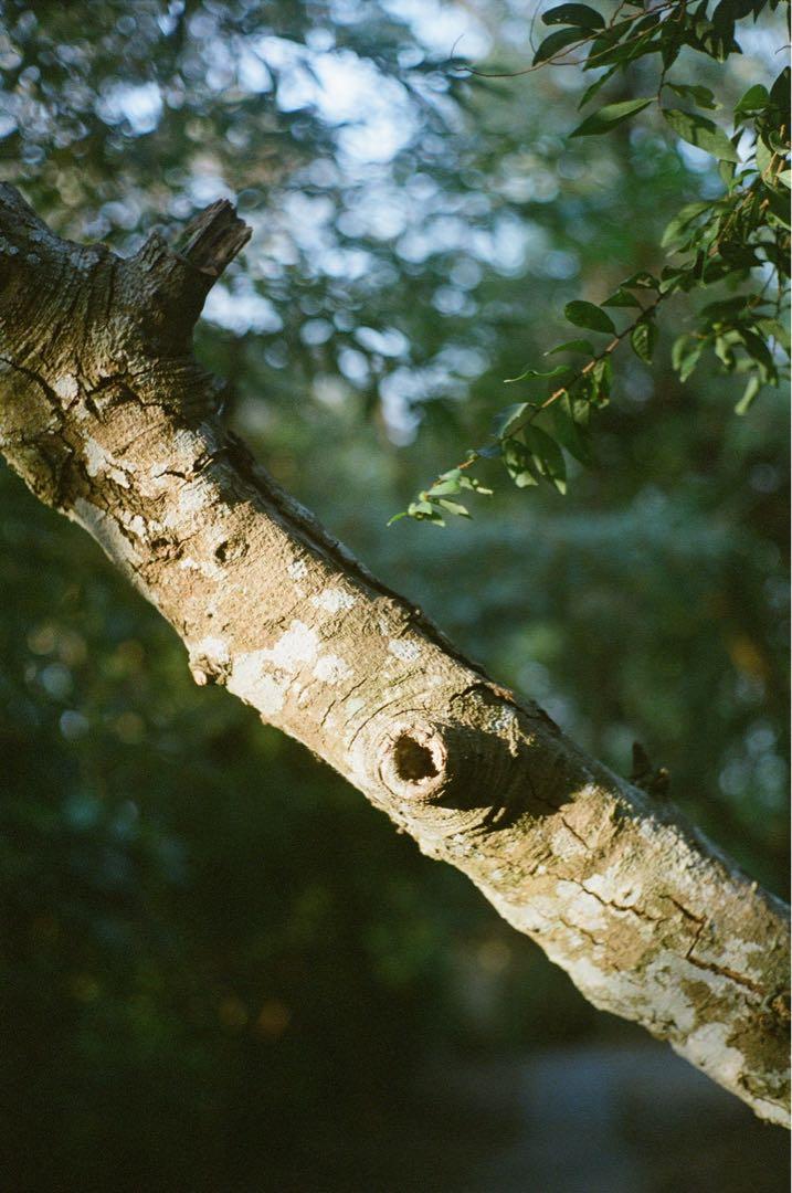 ARSIMAGO LAB BOX Film Developing Tank, 攝影器材, 攝影配件, 其他攝影配件 Carousell