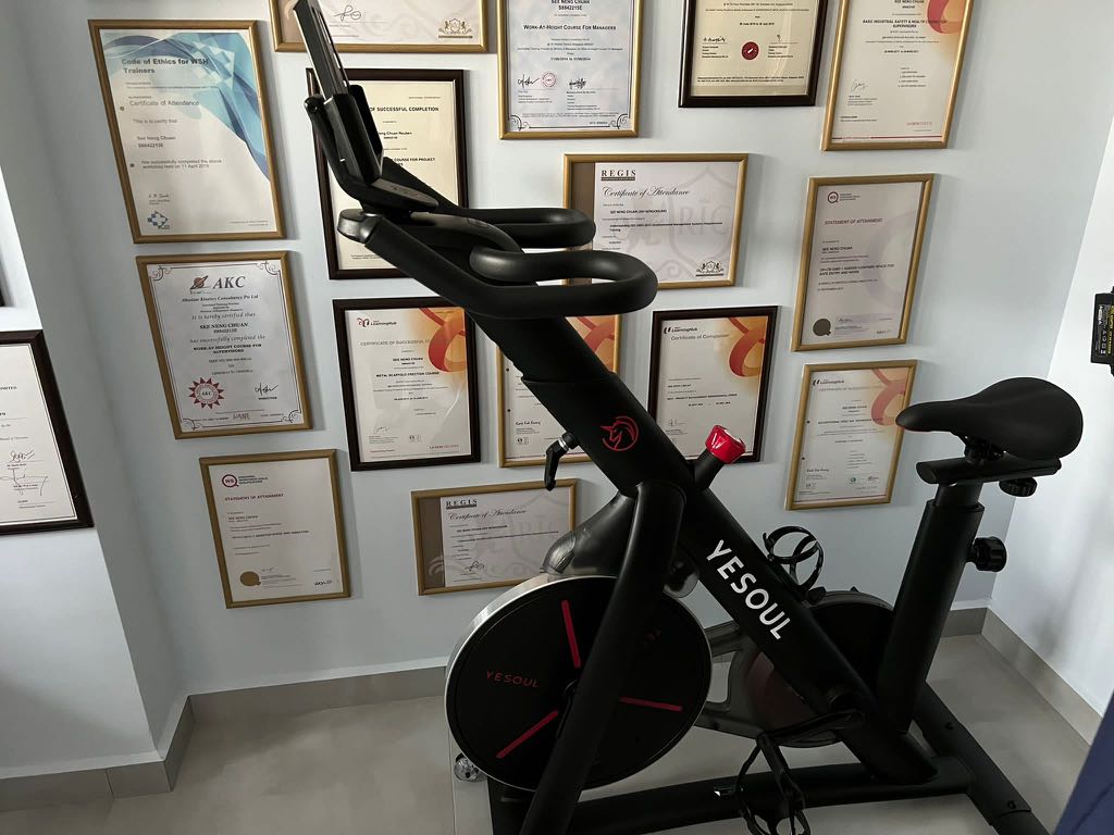 schwinn 126 upright bike