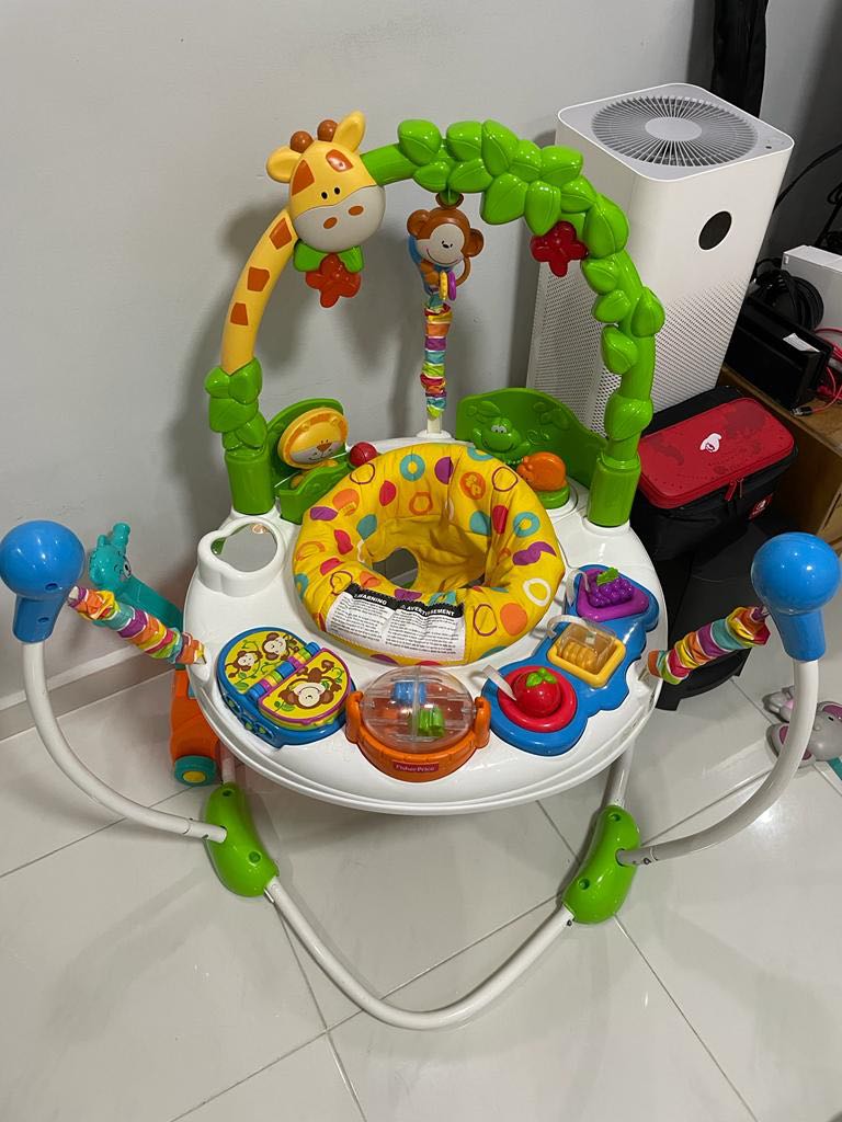 Jumperoo fisher top price go wild