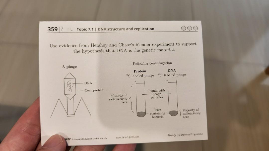 IB Biology HL and SL flashcards, Everything Else on Carousell