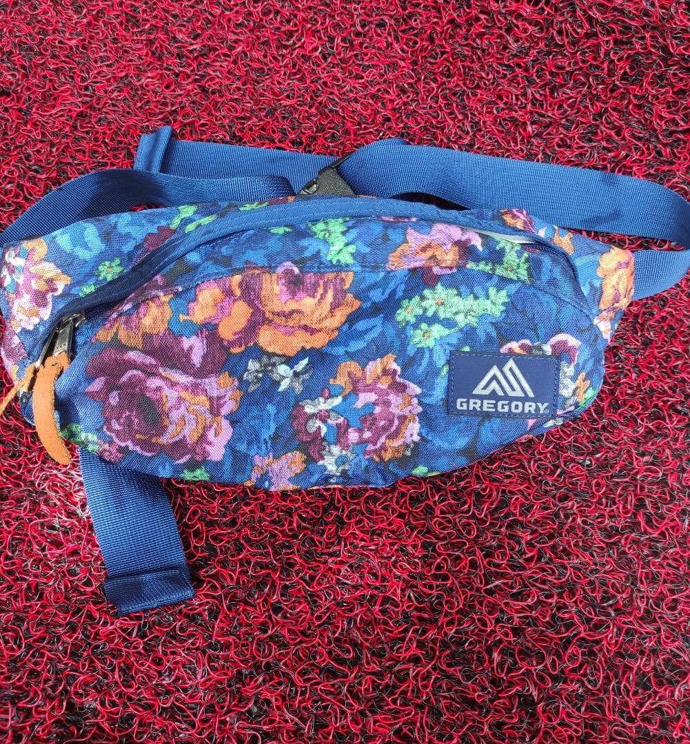 Gregory Waist bag
