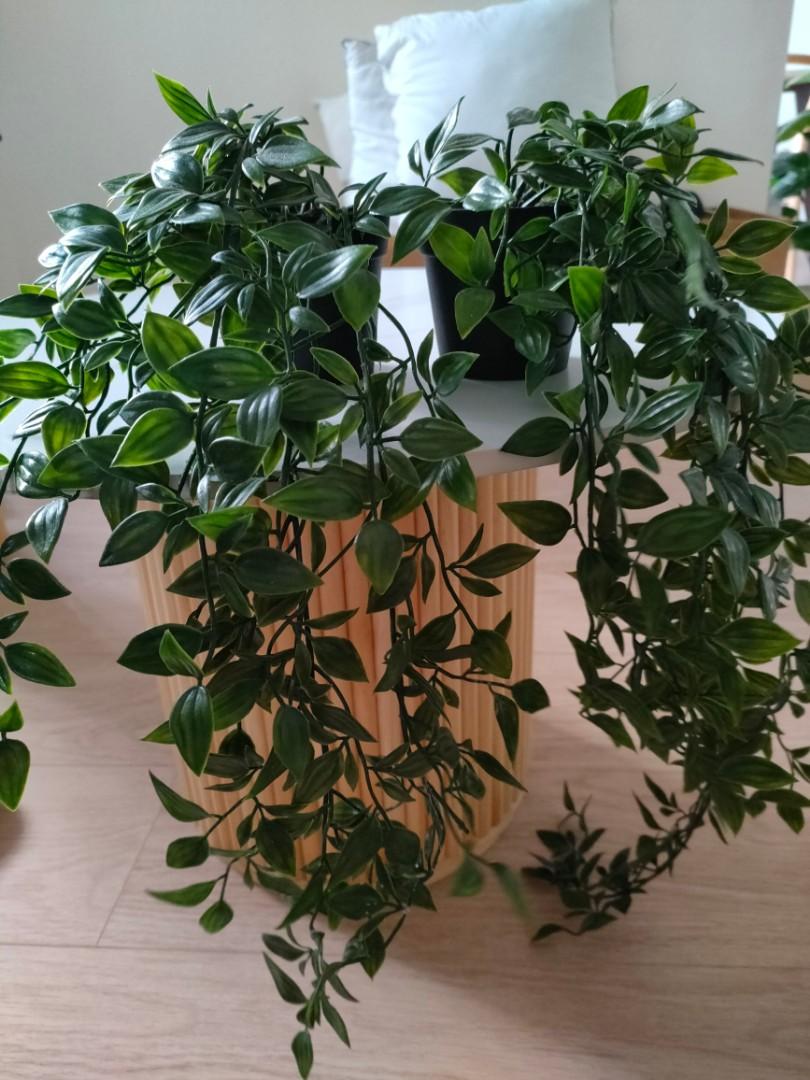 Ikea artificial trailing plants, Furniture & Home Living, Home Decor