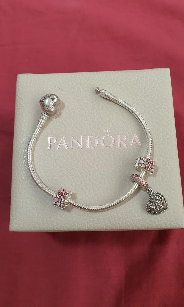 Heart Clasp Snake Chain Bracelet 