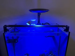 （分類：）位於 。 由 shonking 提交（商品編號 1166383350，圖片 1）。簡介： 。