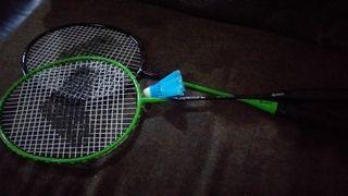 badminton with net