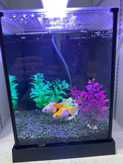 (Category: ) located in . Submitted by massthe (Listing ID 1166441958, Image 1). Description: .